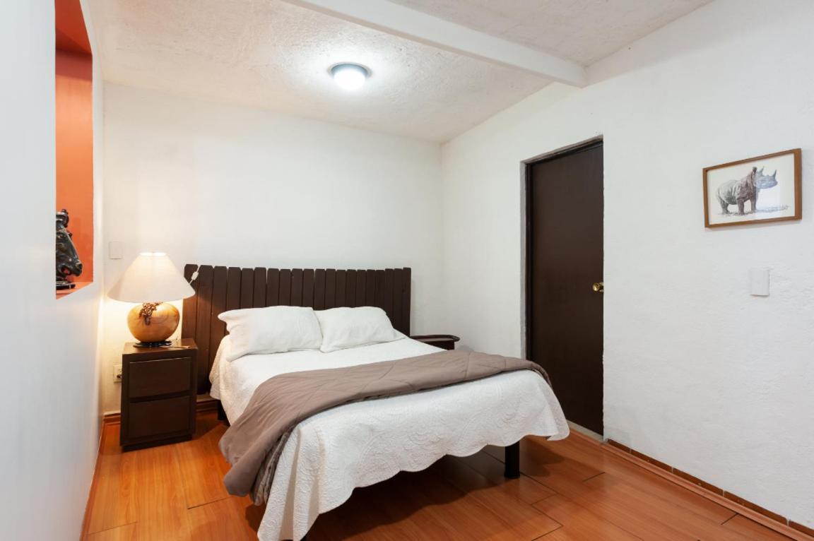Suite 5A, Altavista, Garden House, Welcome To San Angel Mexico by Eksteriør bilde