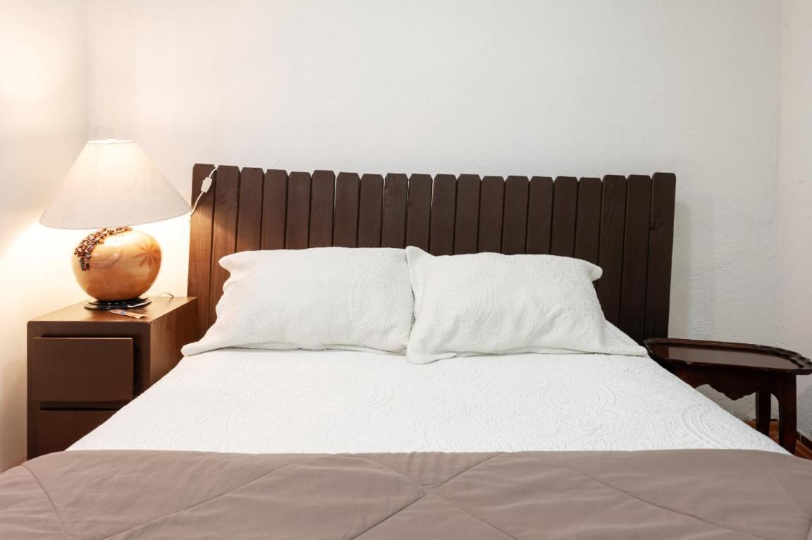 Suite 5A, Altavista, Garden House, Welcome To San Angel Mexico by Eksteriør bilde