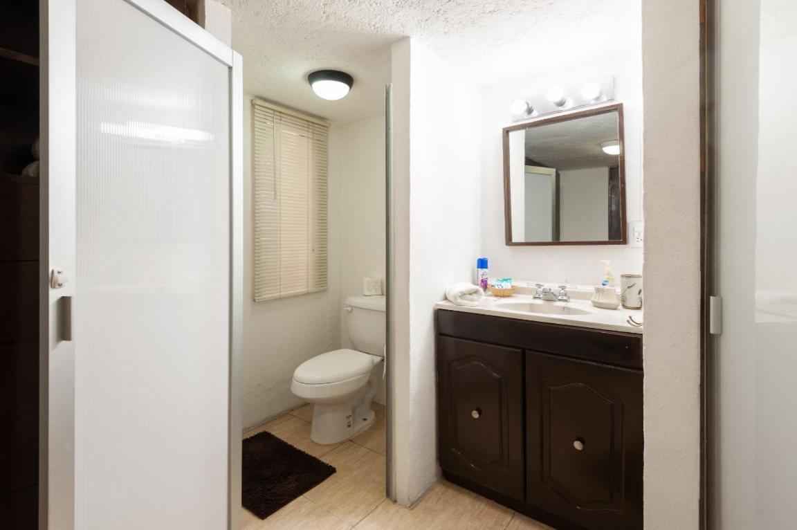 Suite 5A, Altavista, Garden House, Welcome To San Angel Mexico by Eksteriør bilde
