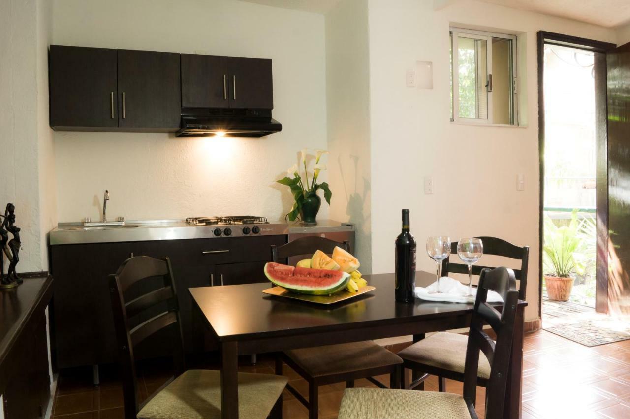Suite 5A, Altavista, Garden House, Welcome To San Angel Mexico by Eksteriør bilde