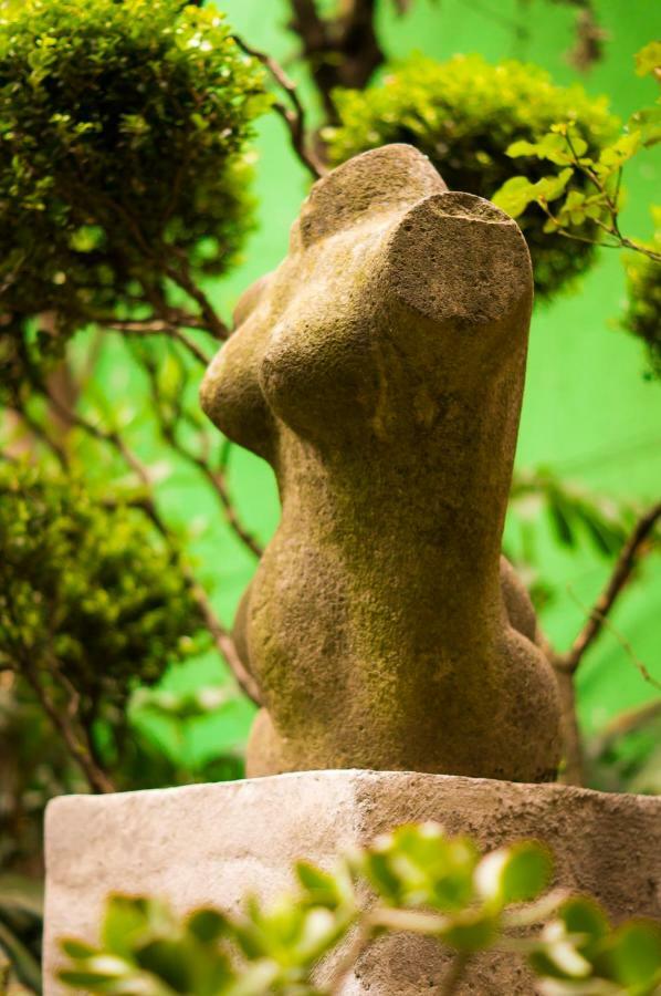 Suite 5A, Altavista, Garden House, Welcome To San Angel Mexico by Eksteriør bilde