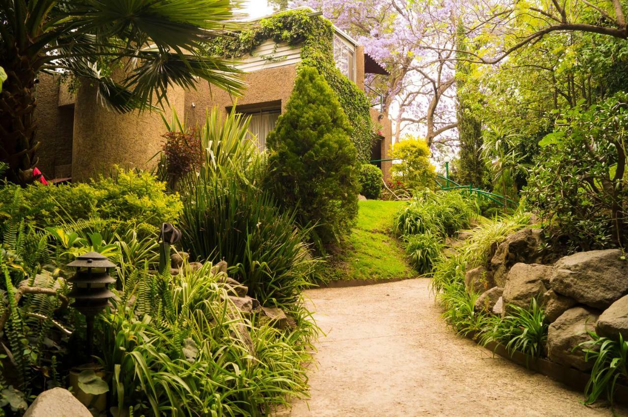 Suite 5A, Altavista, Garden House, Welcome To San Angel Mexico by Eksteriør bilde