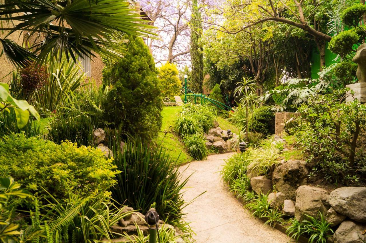 Suite 5A, Altavista, Garden House, Welcome To San Angel Mexico by Eksteriør bilde